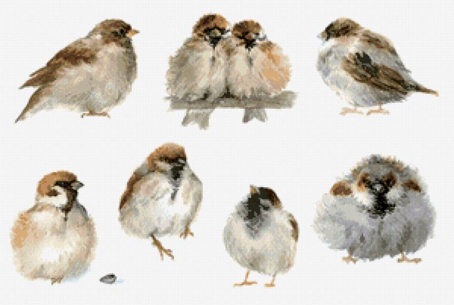 Г.Горенкова Пушистики - воробьи, птицы, мини вышивка - предпросмотр