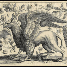 Схема вышивки «Грифон»