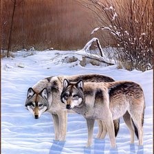 Схема вышивки «пара»