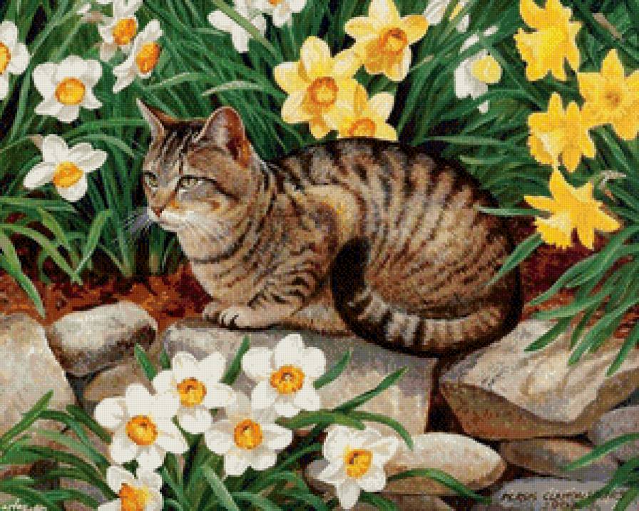 умиротворение - кот, коты, котики - предпросмотр