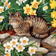 умиротворение