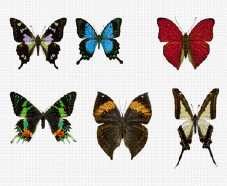 бабочки - мини вышивка, бабочки - предпросмотр