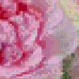 Предпросмотр схемы вышивки «пионы» (№835888)