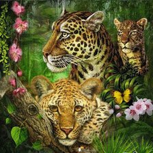 Схема вышивки «хищные кошки»