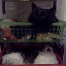 Схема вышивки «Тиша и Стеша»