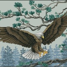 Схема вышивки «Орел»