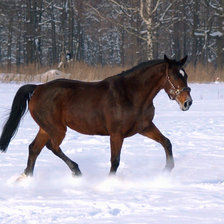 Схема вышивки «Повесть2»