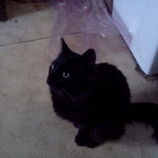 Схема вышивки «Тишик»