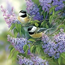 Схема вышивки «синички на сирени»