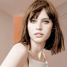 Схема вышивки «Фелисити Джонс»