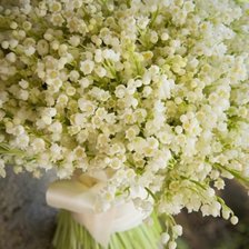 Схема вышивки «Ландыши»