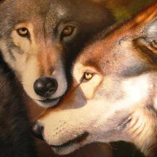 Схема вышивки «Пара волков. Преданность.»