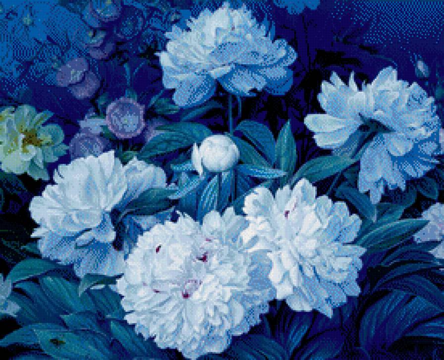 Ночные пионы. - ночь, сад, пионы, цветы - предпросмотр