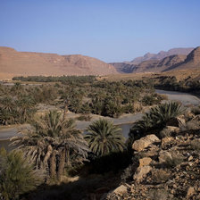 Схема вышивки «природа»