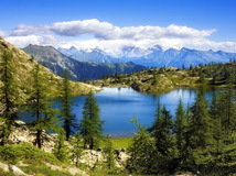 Схема вышивки «природа»