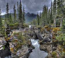 Схема вышивки «природа»