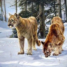 Схема вышивки «пумы»