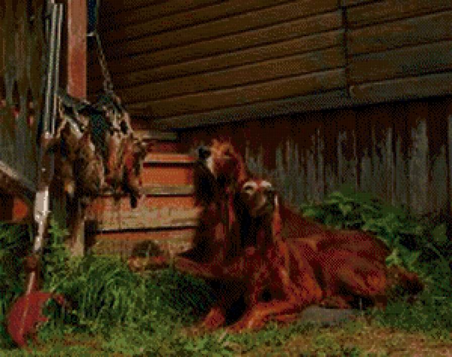 охота - собаки - предпросмотр