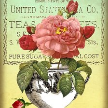 Схема вышивки «№836596»