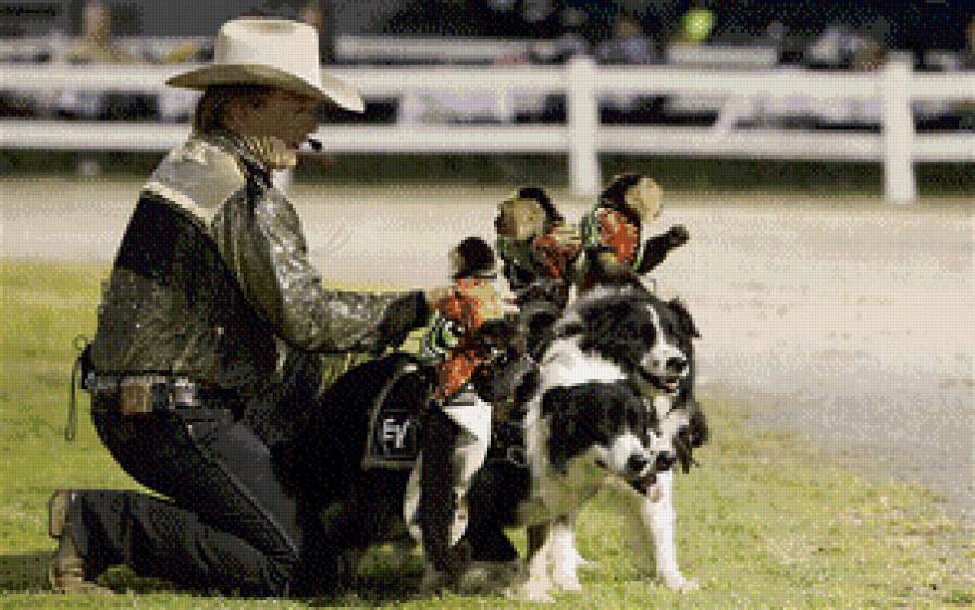 собаки - люди жывотные - предпросмотр
