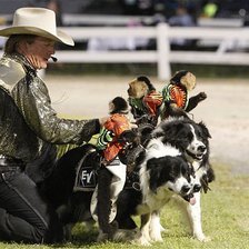 Схема вышивки «собаки»