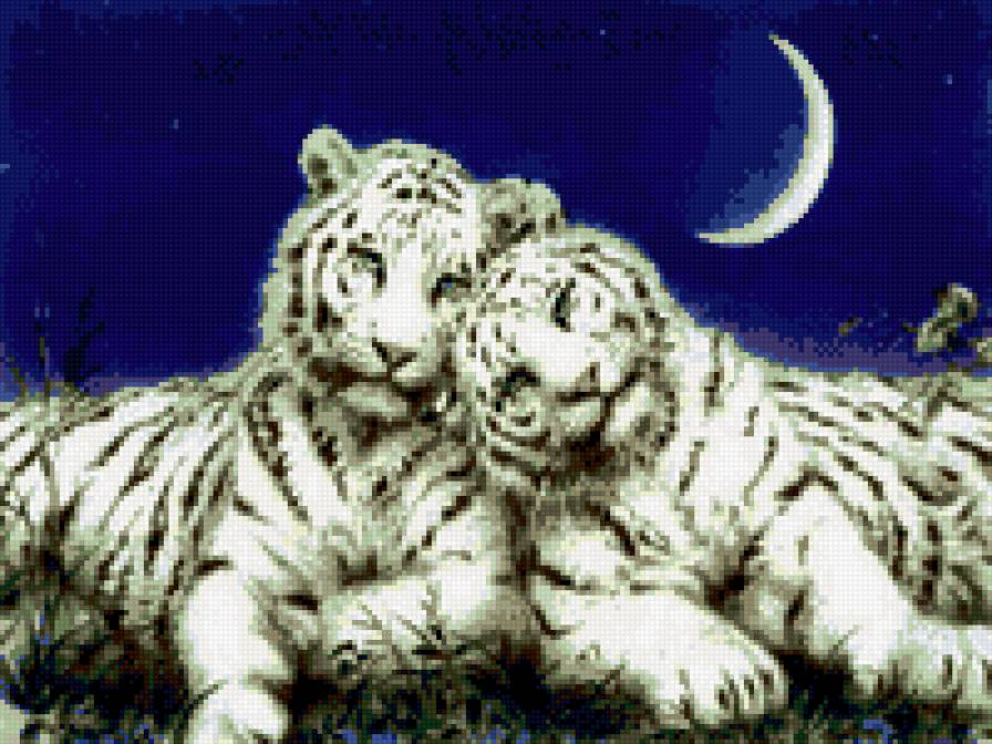 тигры - предпросмотр