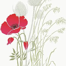 Схема вышивки «мак»