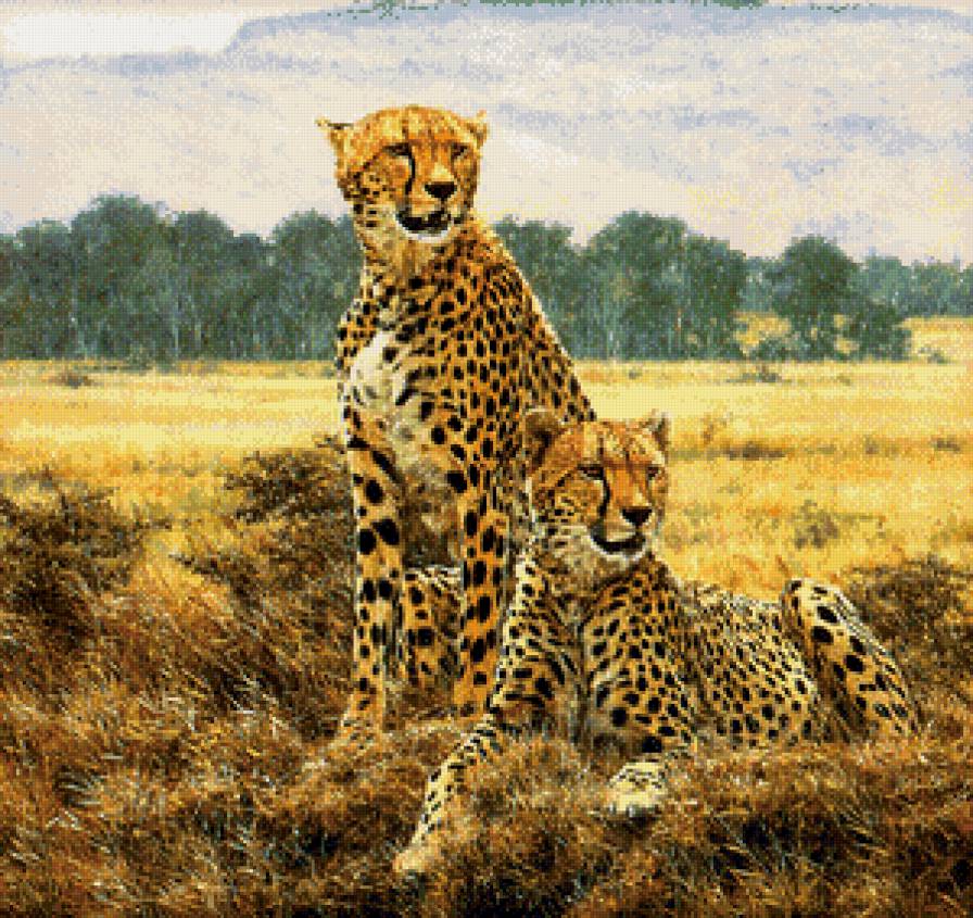 хищники - жывотные - предпросмотр