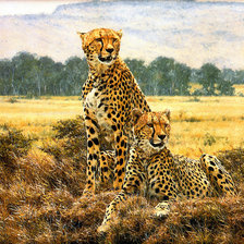 Схема вышивки «хищники»