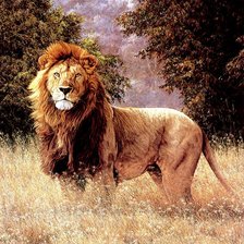 Схема вышивки «лев»