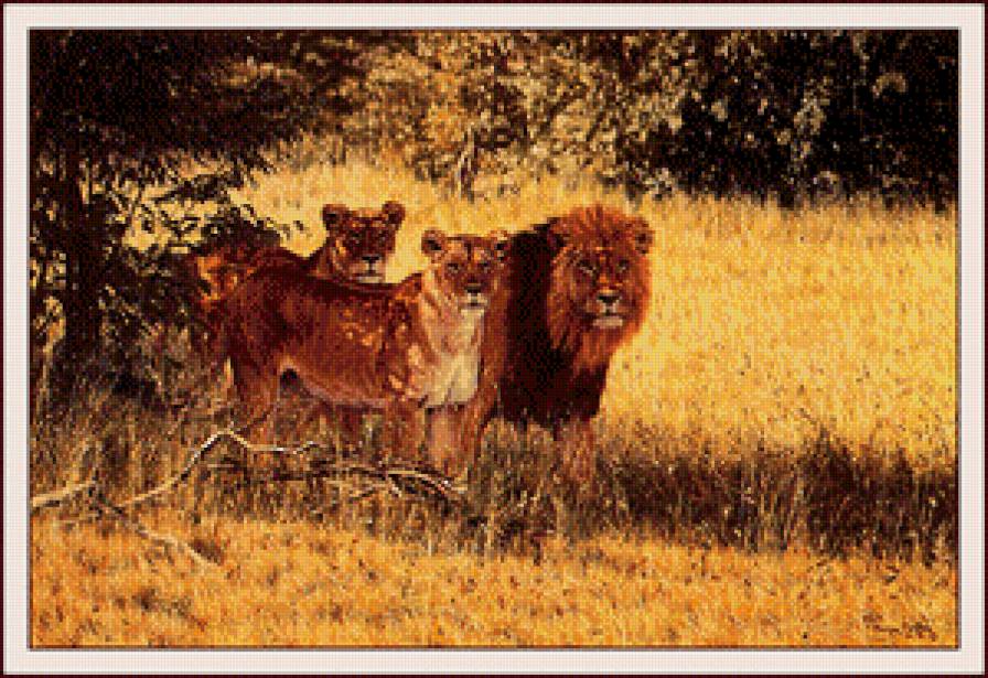 прайд - жывотные - предпросмотр