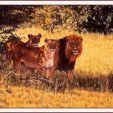 Схема вышивки «прайд»