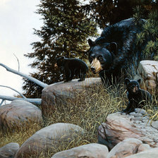 Схема вышивки «мишкина симья»