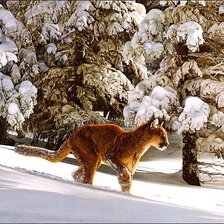 Схема вышивки «след»
