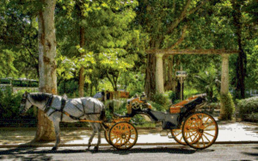 лошади - жывотные - предпросмотр