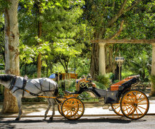 Схема вышивки «лошади»