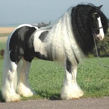 Схема вышивки «сила грацыя»