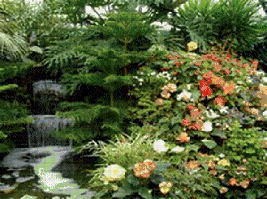 природа - растения, цветы - предпросмотр