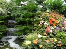 Схема вышивки «природа»