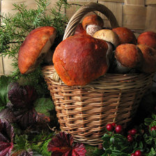 Схема вышивки «грибы»