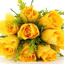 Розы желтые
