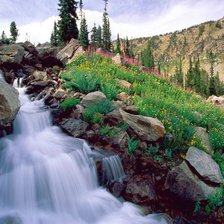 Схема вышивки «природа»