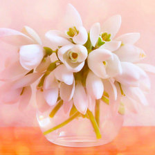 Схема вышивки «нежные подснежники»