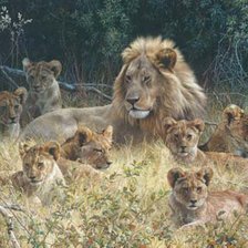 Схема вышивки «прайд»