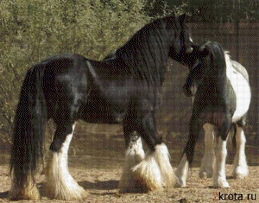 лошади - жывотные - предпросмотр