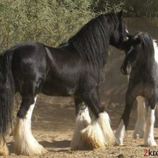 Схема вышивки «лошади»