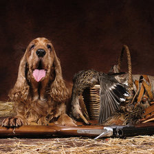 Схема вышивки «охота»