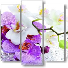 Схема вышивки «№837155»