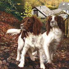 Схема вышивки «собаки»