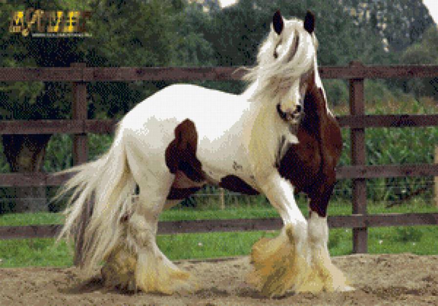 лошади - животние - предпросмотр